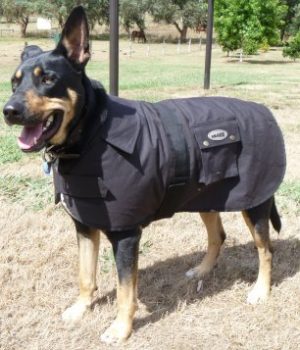 Nullabor Oilskin Dog Coat